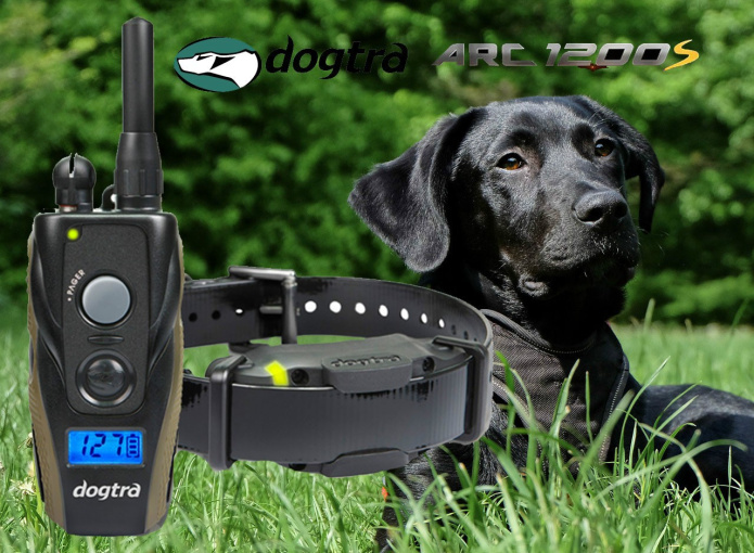 Dogtra 1200s clearance